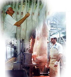 MI BLOG:: Aspectos reglamentarios sobre funcionamiento de mataderos